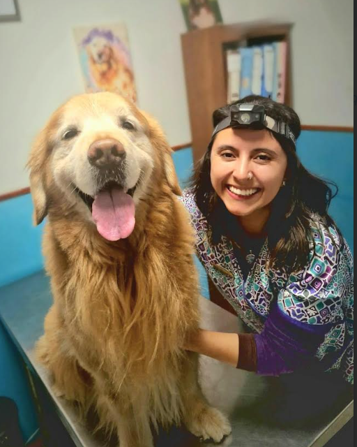 Captura de pantalla 2025-09-11 131434